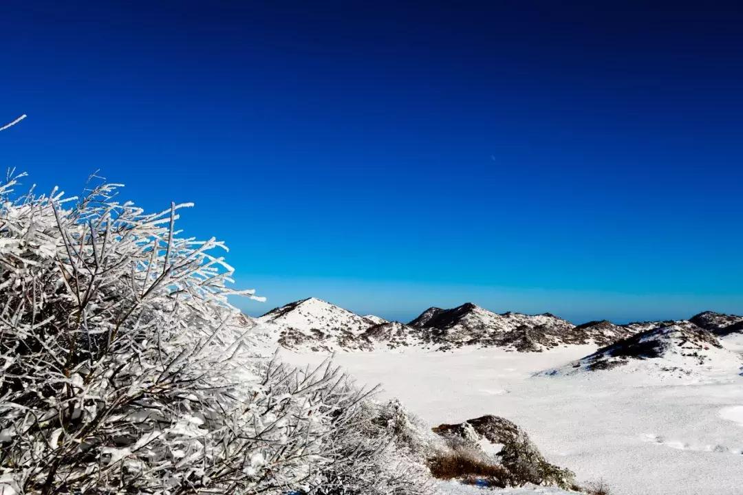 齐齐直播白雪虚拟世界探索之旅，真实魅力的探索