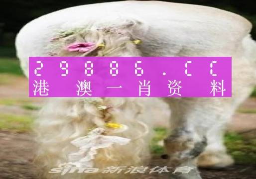 今晚必中一肖一码四不像,时代资料解释落实_1080p59.420