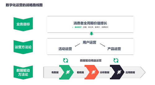 新奥门高级内部资料免费,数据驱动执行设计_顶级版43.580