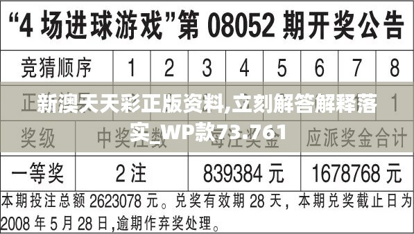 二四六246天天彩资料,现状解答解释定义_W81.951