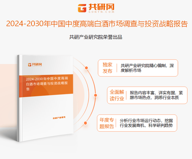 2024新澳精准资料大全,效率资料解释定义_高级款19.410