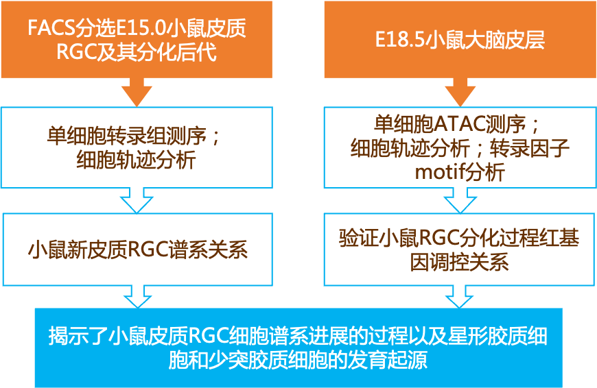 2024新澳正版免费资料,时代资料解释落实_交互版91.779