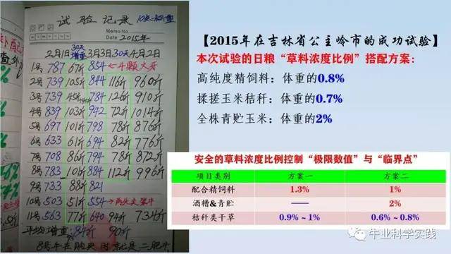 一码一肖100%精准,调整细节执行方案_Superior82.74