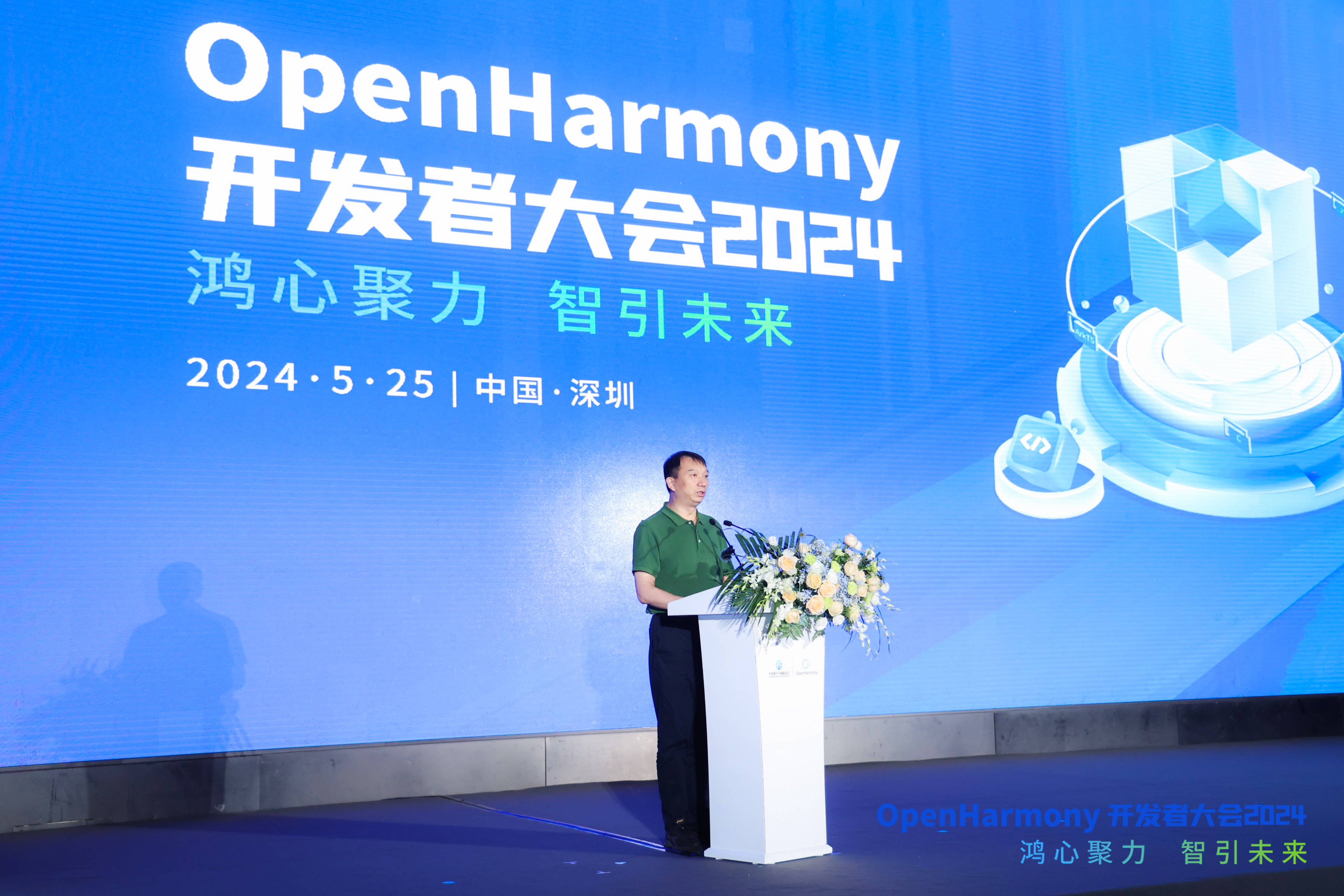 2024新奥精准资料免费大全,重要性解释落实方法_Harmony30.515