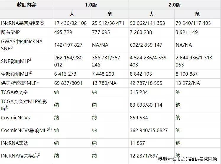 澳门开奖结果+开奖记录表生肖,效率资料解释定义_开发版96.330