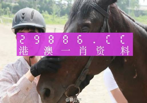 澳门今晚必中一肖一码准确9995,最新答案解释落实_1080p11.596