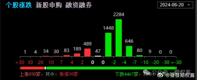 2024年12月2日 第17页