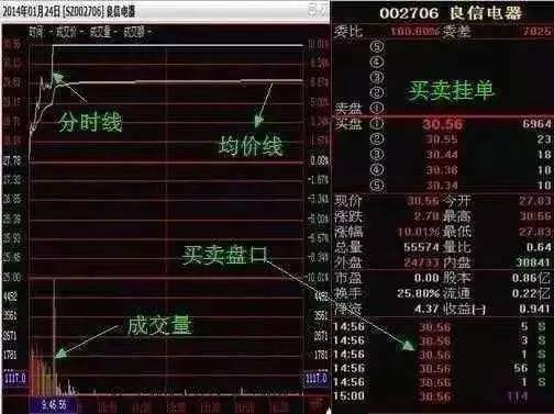 三肖三期必出特马,高效执行计划设计_专属版69.584