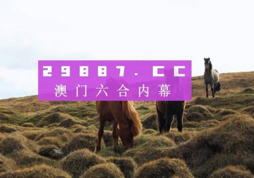 过客谁是谁 第3页