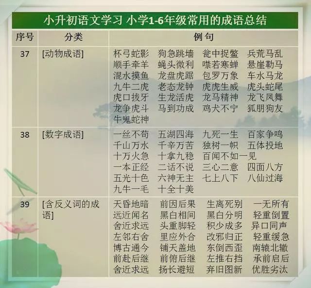 新澳门一码一肖一特一中2024高考,确保成语解释落实的问题_薄荷版57.228