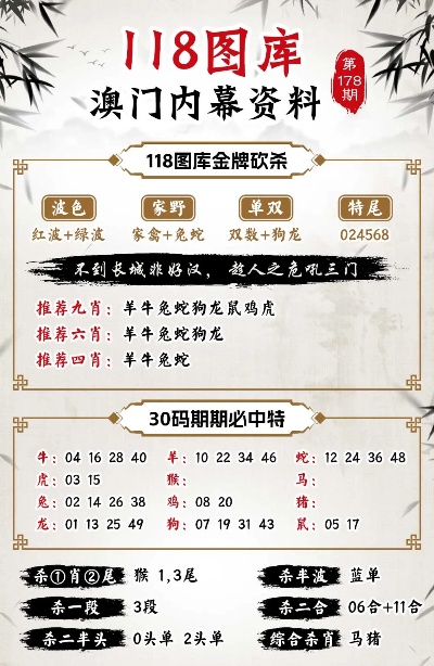 新澳门王中王100%期期中,稳健性策略评估_AP35.677