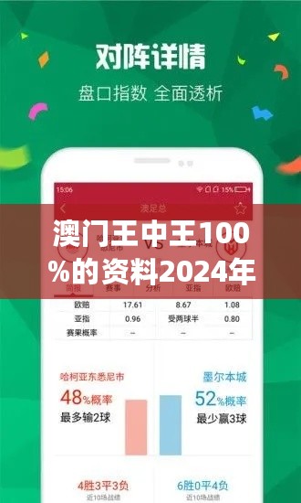 澳门王中王100%期期中,快速设计解析问题_领航版19.51