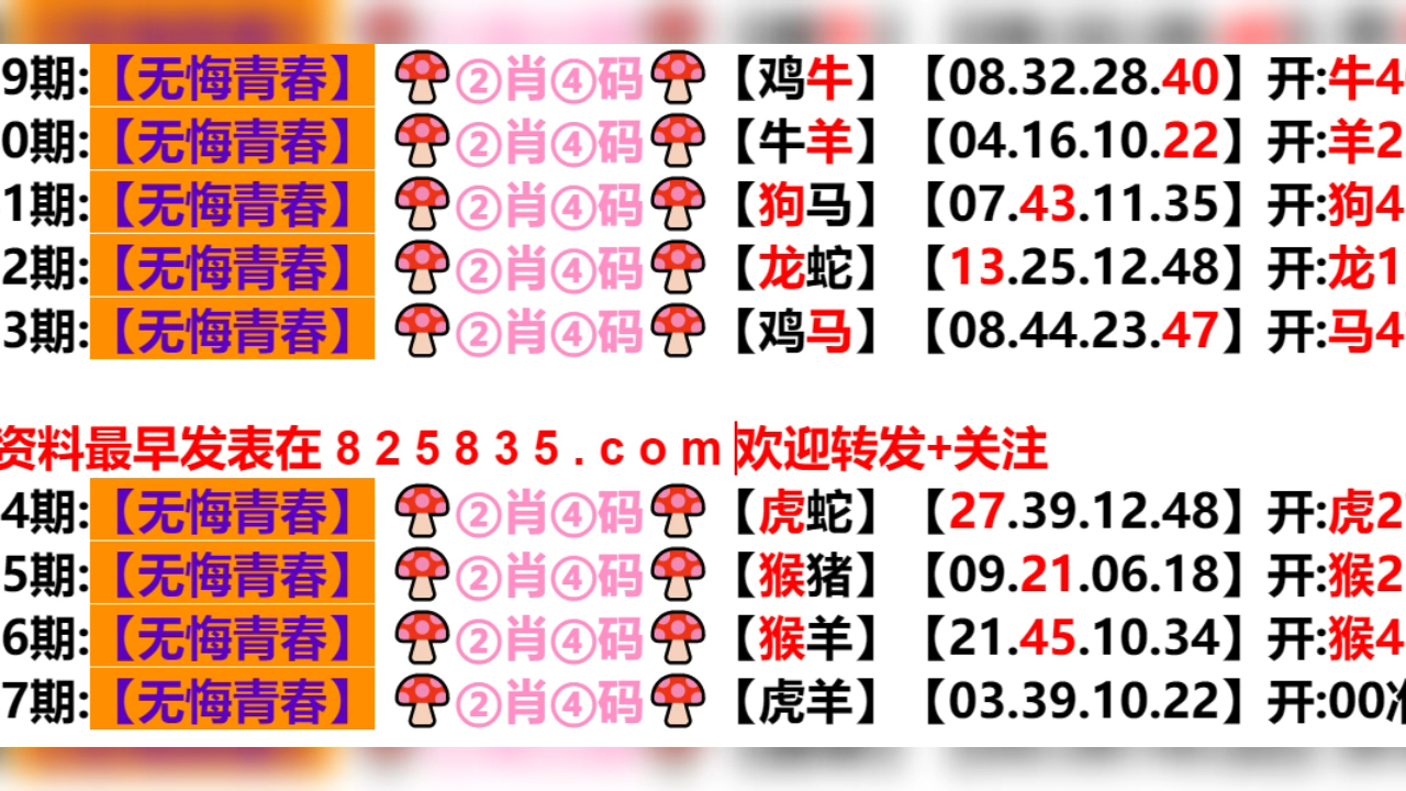 2024年新奥门天天开彩,高效解答解释定义_LT47.275