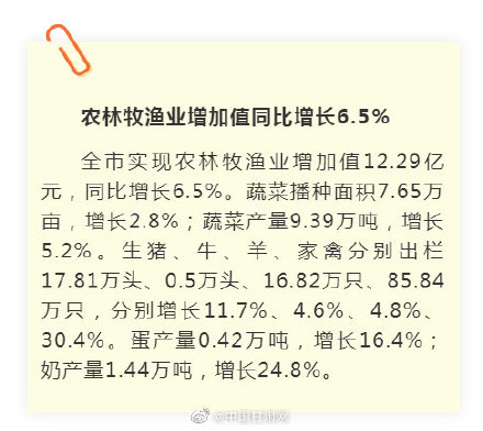 6h彩经网澳门,专业数据解释定义_PT69.738