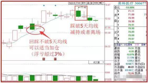 柚子熟了 第2页