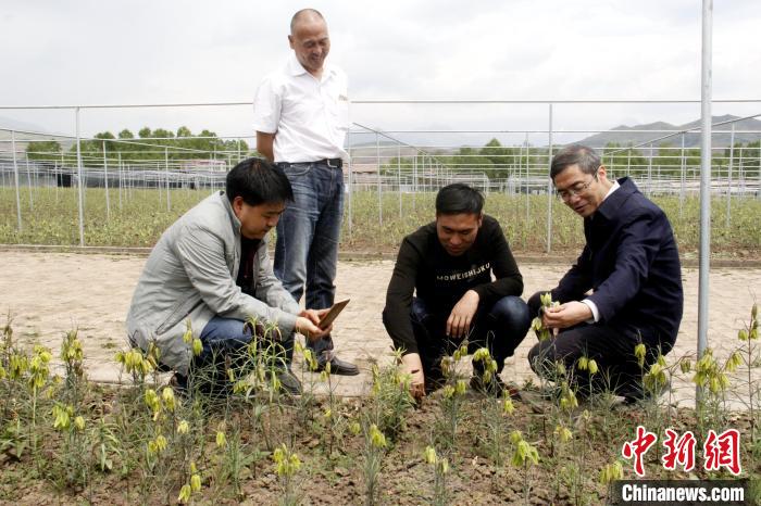 澳门资料大全正版资料2024年免费脑筋急转弯,动态词语解释落实_FT40.952