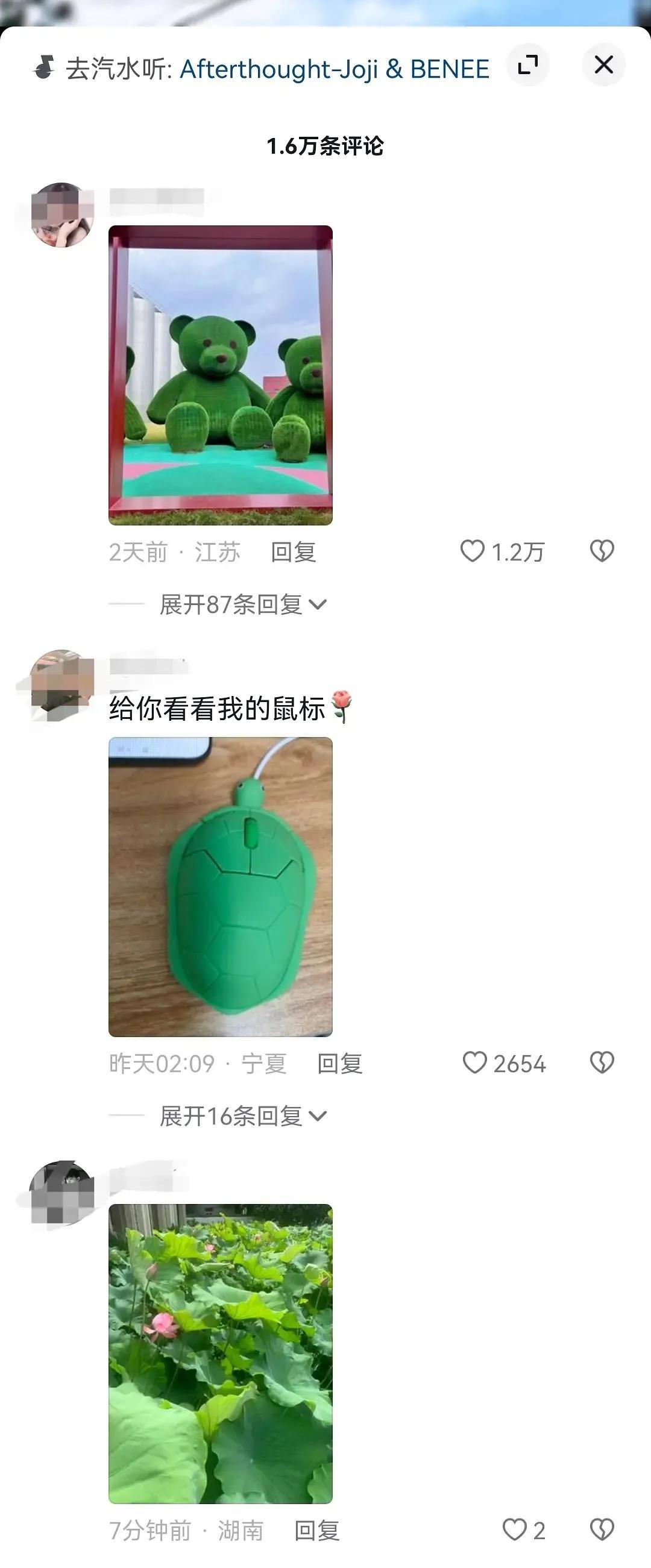 张云龙直播之夜，星光互动，无限魅力