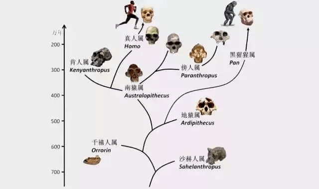 新澳门一码一肖一特一中2024高考,动态调整策略执行_完整版91.473