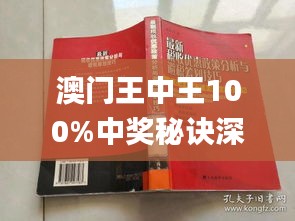 新澳门王中王100%期期中,符合性策略定义研究_顶级版67.812