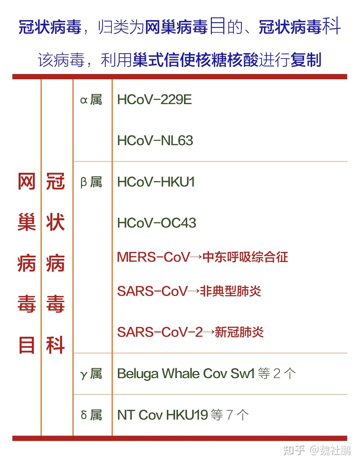 全球病毒最新动态汇总，疫情现状与未来展望