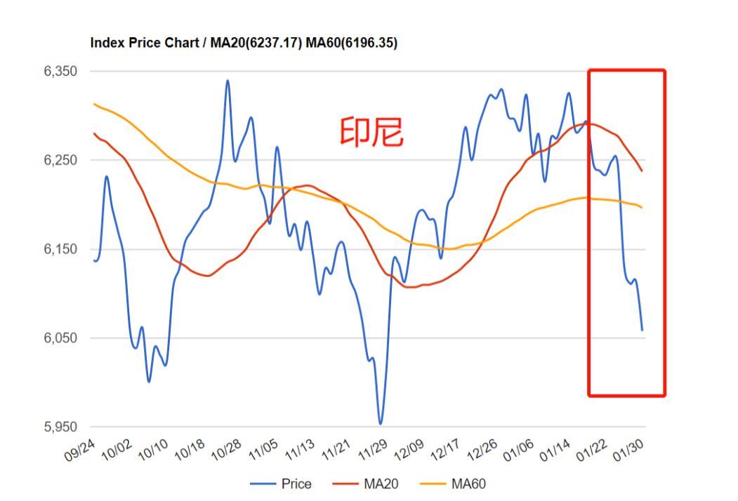 全球肺炎最新动态及疫情现状与展望