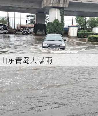 青岛暴雨来袭，城市挑战与机遇应对之道