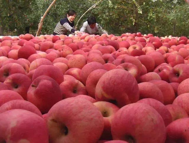 莒县最新超市重塑零售业格局，引领当地崭新面貌