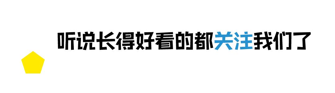 小升初最新动态，教育改革下的新趋势与挑战解析